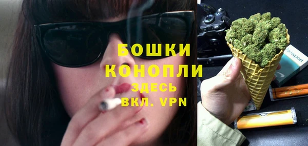 шишки Балабаново