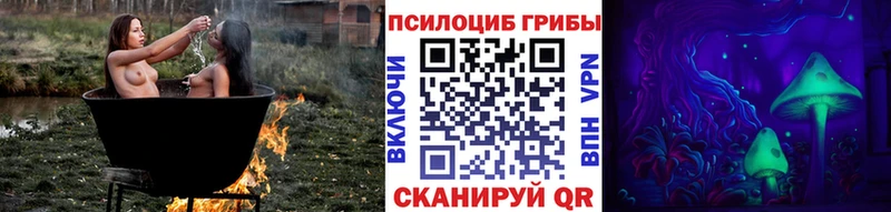 Псилоцибиновые грибы прущие грибы  площадка какой сайт  Кимовск  купить наркотик 